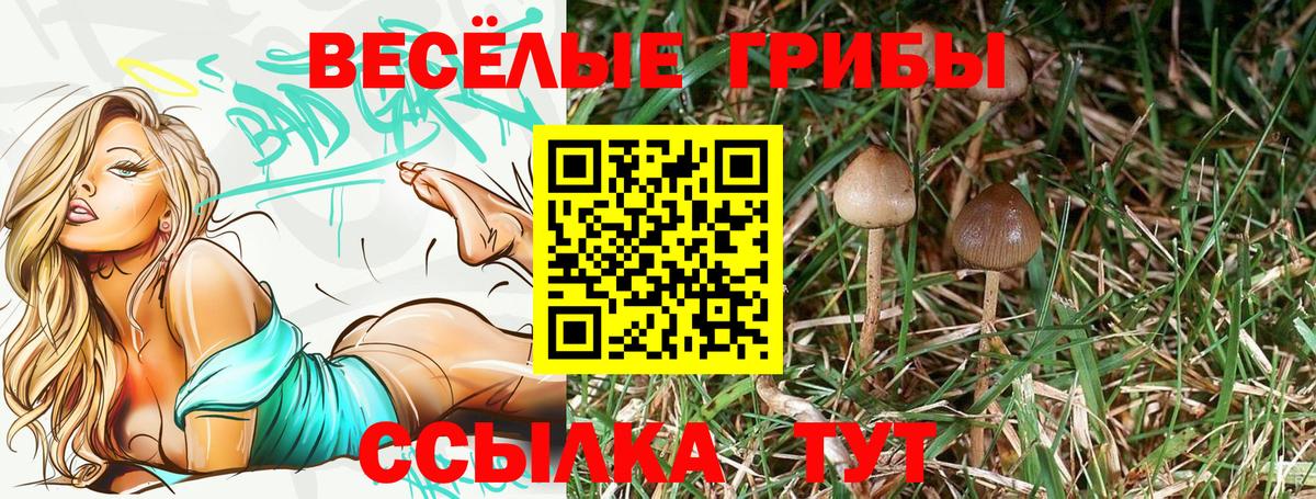Псилоцибиновые грибы Cubensis Гагарин