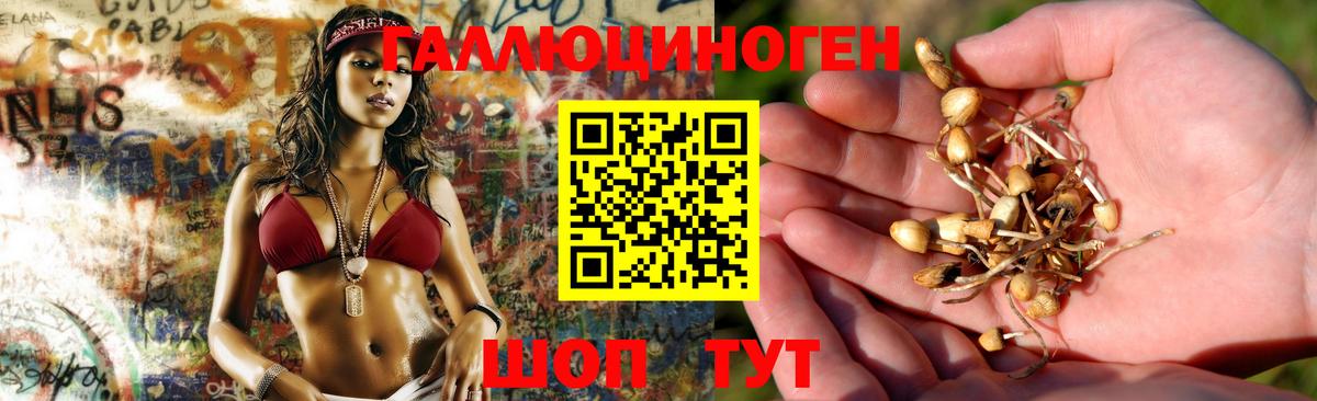 Псилоцибиновые грибы прущие грибы  где купить наркотик  Гагарин  Вход с VPN 