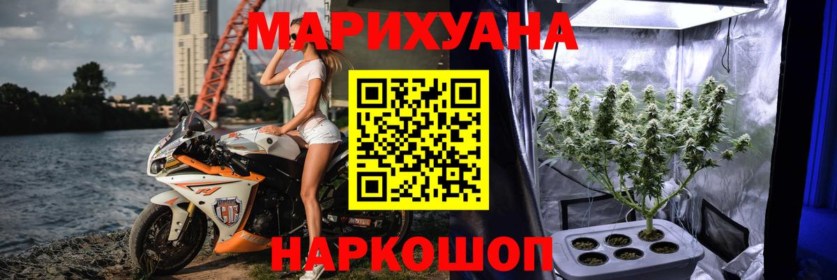 МАРИХУАНА конопля Гагарин